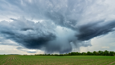 Pop-up thunderstorm with microburst over a field with young plants
